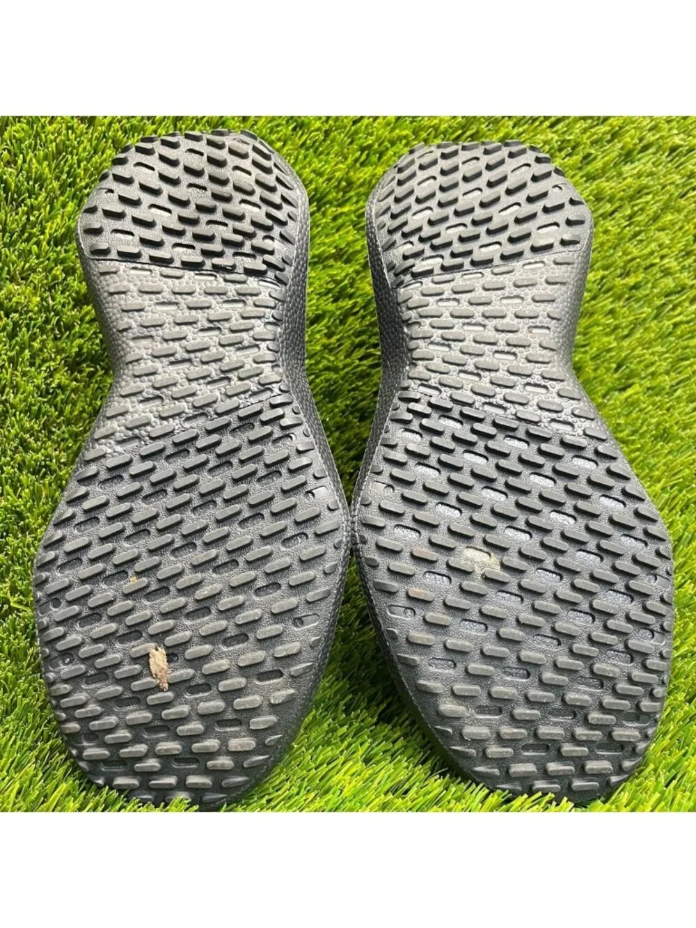 allbirds please review